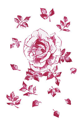 Floral Drawings Rights Managed Images - Graphic Pink Rose with Leaves Royalty-Free Image by Masha Batkova