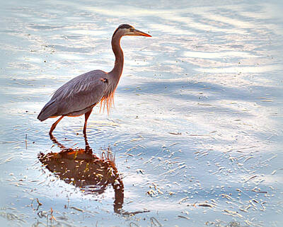 Religious Paintings - Great Blue Heron by AJ Schibig