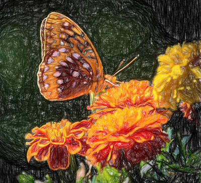 Airplane Paintings Royalty Free Images - Great Spangled Fritillary Butterfly Sketch Photo Royalty-Free Image by Black Brook Photography