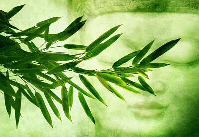 Still Life Mixed Media - Green Bamboo by Claudia Moeckel