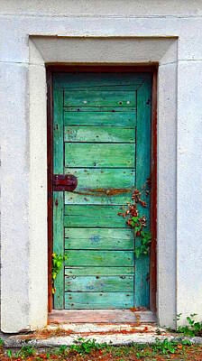 Priska Wettstein Pink Hues - Green Door by HelenaP Art