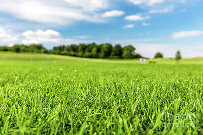 Sports Photos - Green golf course with blue sky. by Michal Bednarek