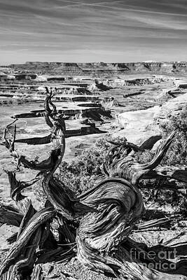 Mountain Photos - Green River Overlook, Black and White by Daryl L Hunter