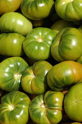 Food And Beverage Photos - Green Tomatoes by Frank Tschakert