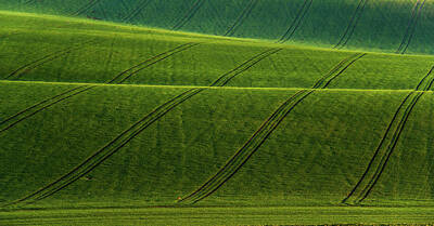 Abstract Landscape Photos - Green Waves of Rolling Hills by Jenny Rainbow