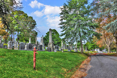 Architecture David Bowman - Green-Wood Cemetery 43 by Randy Aveille