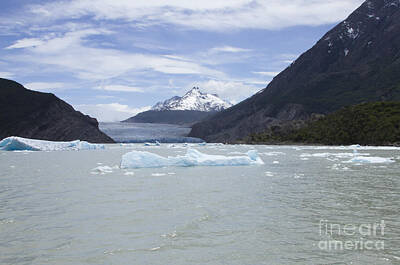 Latidude Image - Grey Glacier calving into Grey Lake, Chile by Karen Foley