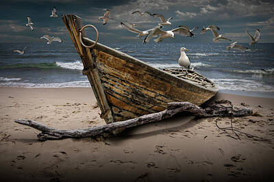 Randall Nyhof Royalty Free Images - Gulls Flying over a Shipwrecked Wooden Boat on the Beach Royalty-Free Image by Randall Nyhof