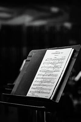Musician Photo Royalty Free Images - Gustav Mahler Symphony No 1 Royalty-Free Image by Marco Oliveira