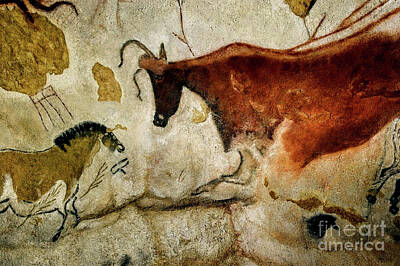 Design Turnpike Vintage Maps - Hall of the Bulls - Lascaux by Doc Braham
