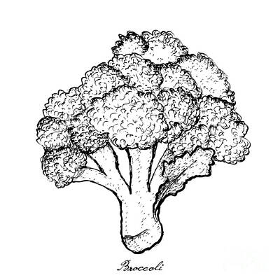 Fantasy Ryan Barger - Hand Drawn of Broccoli on White Background by Iam Nee