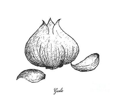 Holiday Cookies - Hand Drawn of Garlic on White Background by Iam Nee