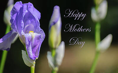 Mannequin Dresses Rights Managed Images - Happy Mothers Day Royalty-Free Image by Tikvah