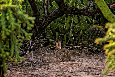 Mark Myhaver Rights Managed Images - Hare Habitat op23 Royalty-Free Image by Mark Myhaver