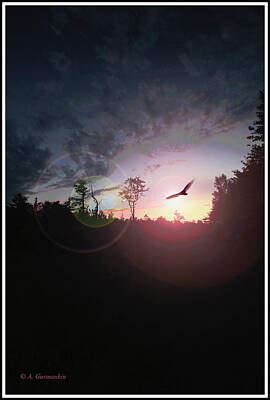 Storm Clouds Colt Forney Royalty Free Images - Hawk Flies Across the Sunset Royalty-Free Image by A Macarthur Gurmankin