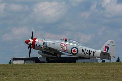 Hearts In Every Form Royalty Free Images - Hawker Sea Fury FB-11 Airplane 1 Royalty-Free Image by John Brueske