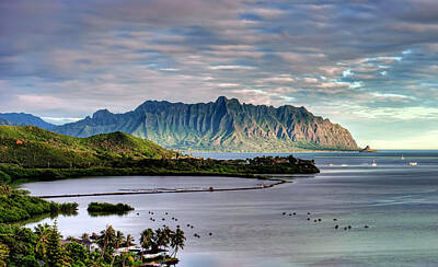 Animals Royalty-Free and Rights-Managed Images - Heeia Fish Pond and Kualoa by Dan McManus
