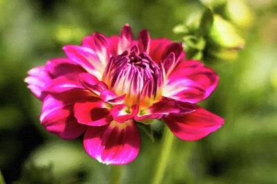 Whimsical Flowers - Hello Dahlia by Leigh Ann Hartsfield