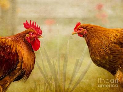Birds Digital Art - Hen Party Do You Come Here Often by Linsey Williams