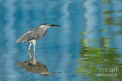 Abstract Oil Paintings Color Pattern And Texture - Heron In Cerulean Sea by Jason Crook