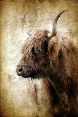 Watercolor Dogs - Highland Cow Brown XX by Athena Mckinzie