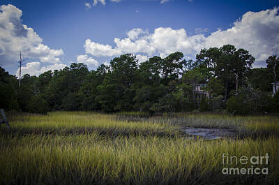 The Beach House - Highway 41 Marsh by Dale Powell