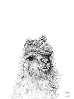 Mammals Drawings - Hilary by Kristin Llamas