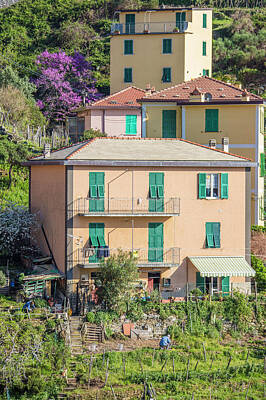 Vintage Jaquar - Hillside Home Cinque Terre Italy  by John McGraw