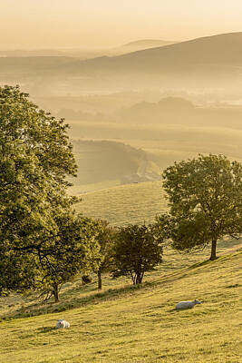 Food And Beverage Royalty-Free and Rights-Managed Images - Hillside View by Hazy Apple