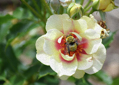 Edward Hopper - Honeys Nectar by Tracie Fernandez