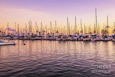 Game Of Thrones Rights Managed Images - Honolulu Marina Oahu Royalty-Free Image by Benny Marty
