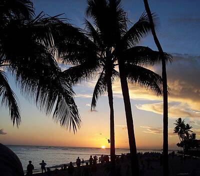 Clouds - Honolulu Sunset by Erica Degni