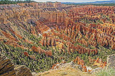 Iconic Women Rights Managed Images - Hoodoo View - Bryce Canyon - Utah USA Royalty-Free Image by Tony Crehan
