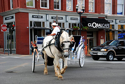Paint Tube - Horse Carriage in Nashville by Susanne Van Hulst