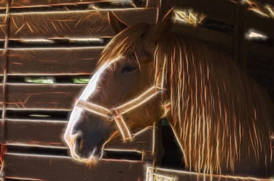 Animals Digital Art - Horse Electric by Flees Photos