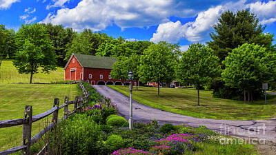 Animals Royalty-Free and Rights-Managed Images - Horse Farm in New Hampshire by New England Photography