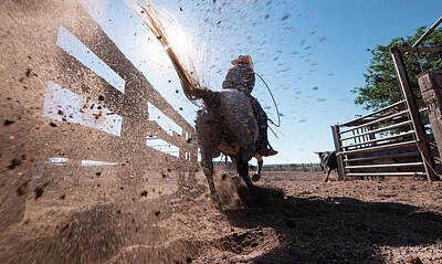 Animals Photos - Horse Power by Steve Gadomski
