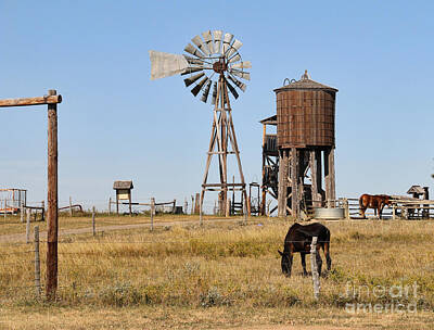 Easter Bunny - Horses Windmill and Water Tower 8325 by Jack Schultz