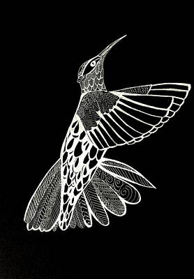 Birds Drawings Royalty Free Images - Hummingbird Drawing Royalty-Free Image by Cathy Jacobs