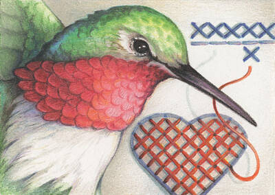 Animals Drawings - Hummingbird Handiwork by Amy S Turner