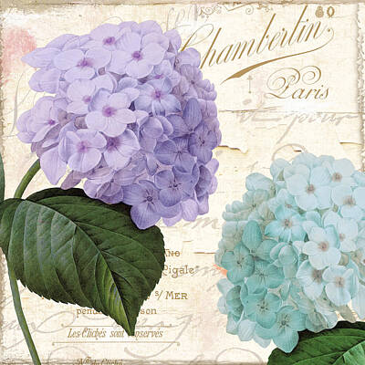 Still Life Rights Managed Images - Hydrangea Hortensia Royalty-Free Image by Mindy Sommers
