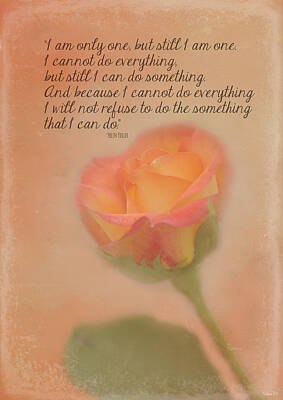 Roses Photo Royalty Free Images - I Am Only One Royalty-Free Image by Teresa Wilson