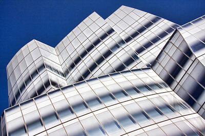 Delicate Orchids - IAC Building by June Marie Sobrito