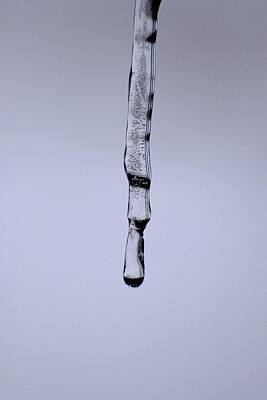 Polaroid Camera - Ice Art 69 by Lawrence Hess