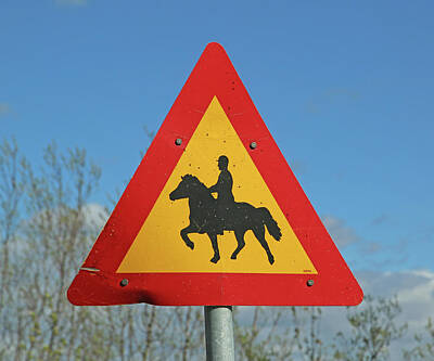 Animals Photos - Icelandic Horse Crossing Sign by Betsy Knapp