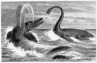 Beach Photo Rights Managed Images - Ichthyosaurus And Plesiosaurus Royalty-Free Image by Wellcome Images