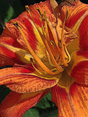 Lilies Digital Art - Images on the Mind by Jeff Iverson