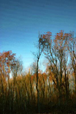 Impressionism Photo Royalty Free Images - Impressionist Autumn Woods 7309 IDP_2 Royalty-Free Image by Steven Ward