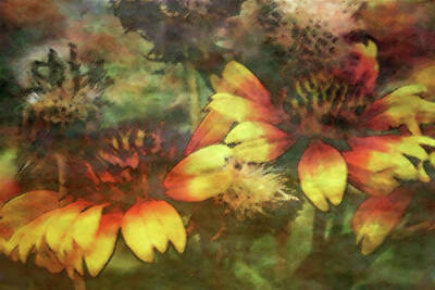 Impressionism Photo Royalty Free Images - Impressionist Blanket Flowers 2597 IDP_2 Royalty-Free Image by Steven Ward