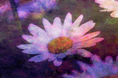 Impressionism Photo Royalty Free Images - Impressionist Daisy 2979 IDP_2 Royalty-Free Image by Steven Ward